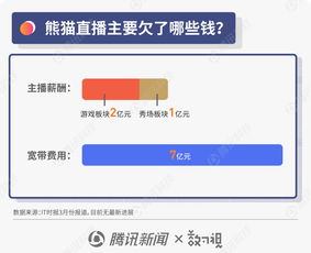 圖解王思聰商業(yè)風(fēng)波 從“國(guó)民老公”到“限消令”漩渦，熊貓直播債務(wù)迷局待解