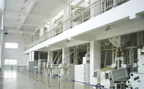 年產10000噸大米加工廠整體規劃與設備布局設計